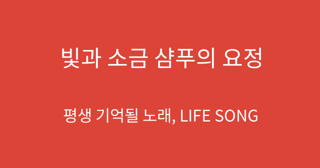 빛과 소금 샴푸의 요정