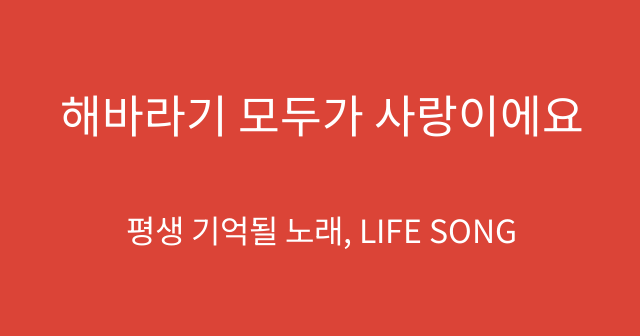 해바라기 모두가 사랑이에요
